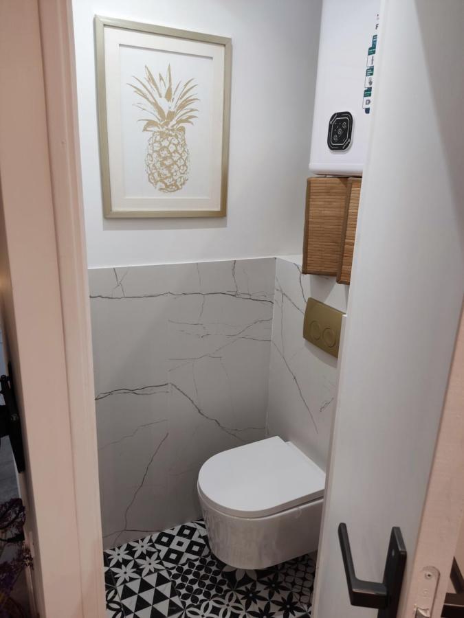 Superbe Appartement Avec Jacuzzi Avec Jardin Prive Lyon Bagian luar foto